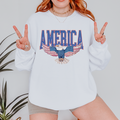 America Eagle Patriotic Tee & Crewneck