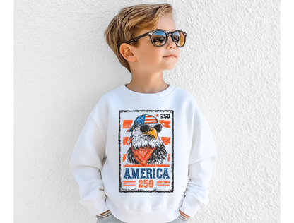 America 250 Kids' Graphic Tee & Sweatshirt